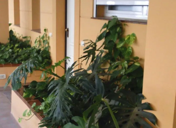 The Sunset Апартаменты