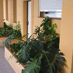 The Sunset Apartman